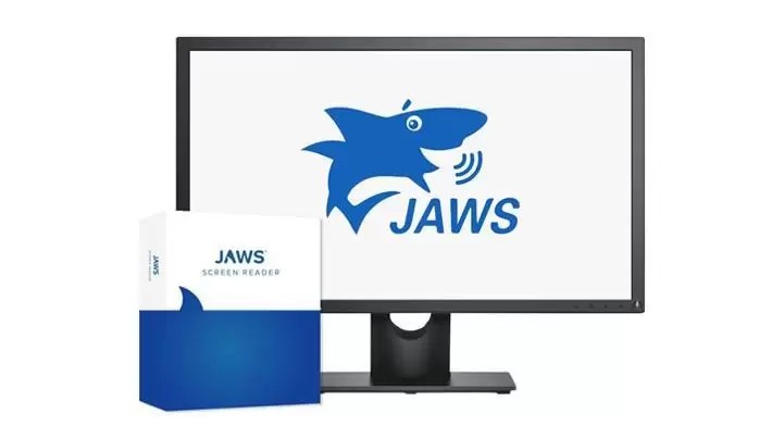 Программа JAWS for Windows Professional